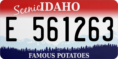 ID license plate E561263