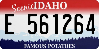 ID license plate E561264