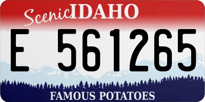 ID license plate E561265