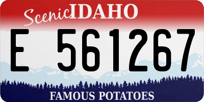 ID license plate E561267
