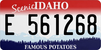 ID license plate E561268