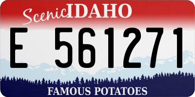ID license plate E561271