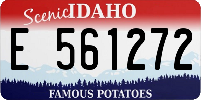 ID license plate E561272