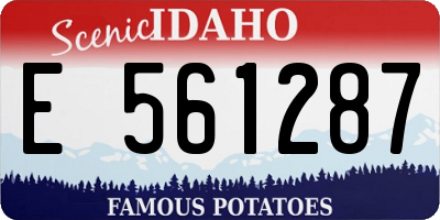 ID license plate E561287