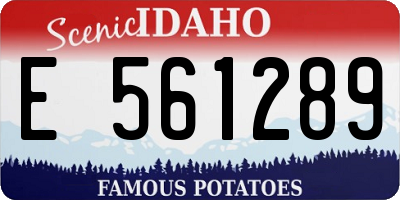 ID license plate E561289