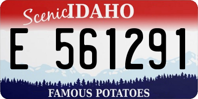 ID license plate E561291