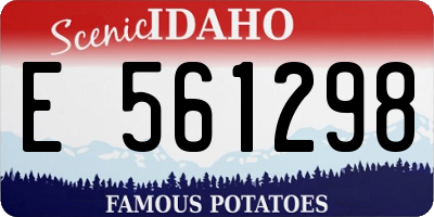 ID license plate E561298