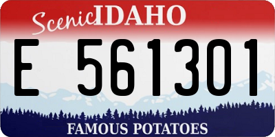 ID license plate E561301