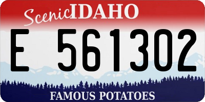 ID license plate E561302