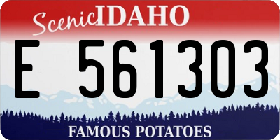 ID license plate E561303