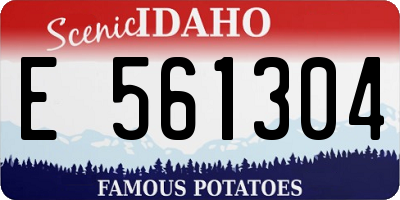 ID license plate E561304