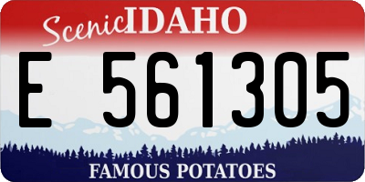 ID license plate E561305