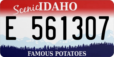 ID license plate E561307