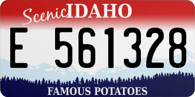 ID license plate E561328
