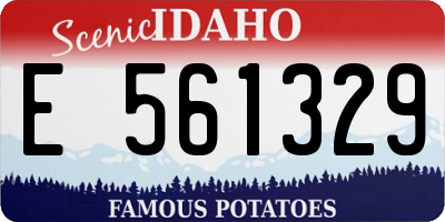 ID license plate E561329