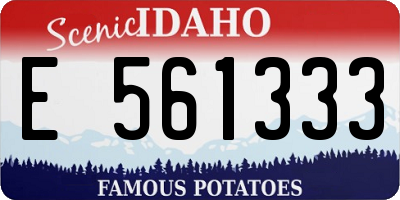 ID license plate E561333
