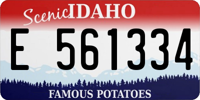 ID license plate E561334