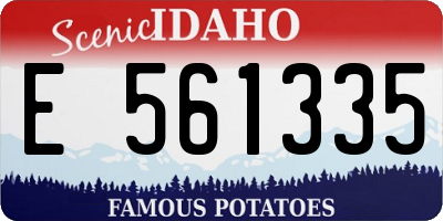 ID license plate E561335