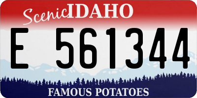 ID license plate E561344