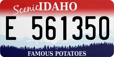 ID license plate E561350