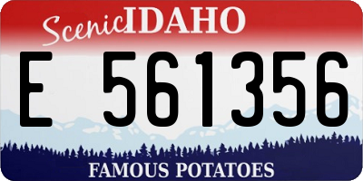 ID license plate E561356