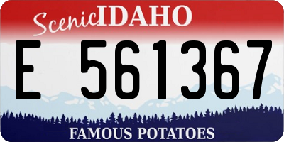 ID license plate E561367