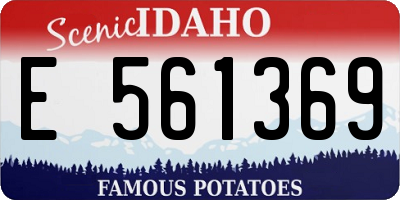 ID license plate E561369