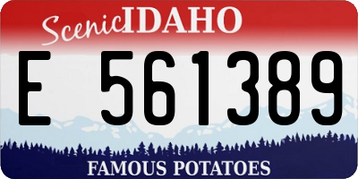 ID license plate E561389