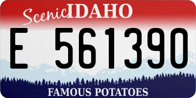 ID license plate E561390
