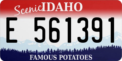 ID license plate E561391