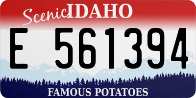 ID license plate E561394