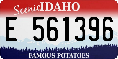 ID license plate E561396