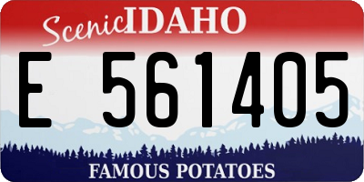 ID license plate E561405