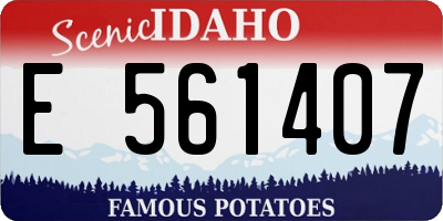 ID license plate E561407