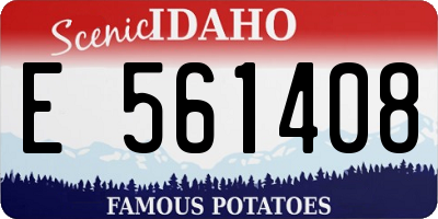 ID license plate E561408