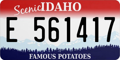 ID license plate E561417