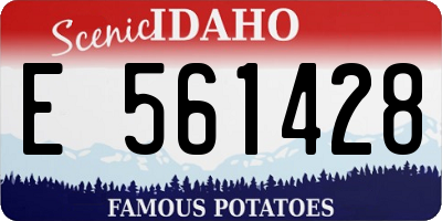 ID license plate E561428