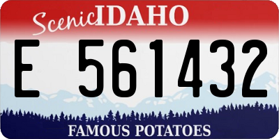 ID license plate E561432