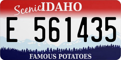ID license plate E561435