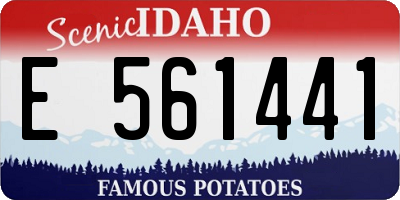 ID license plate E561441