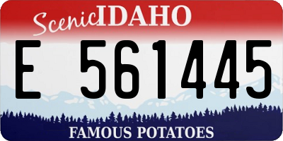 ID license plate E561445