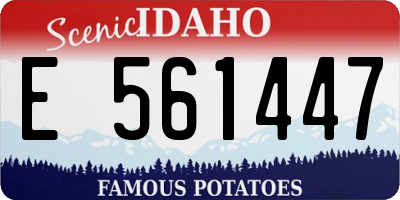 ID license plate E561447