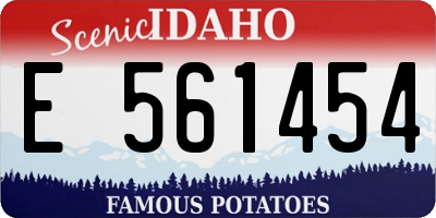 ID license plate E561454