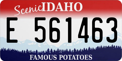 ID license plate E561463