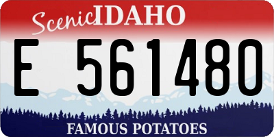 ID license plate E561480