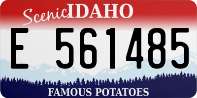 ID license plate E561485