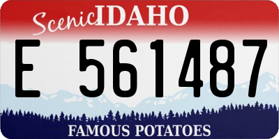 ID license plate E561487
