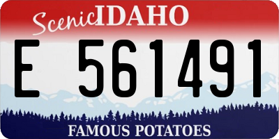 ID license plate E561491