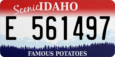 ID license plate E561497