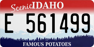 ID license plate E561499